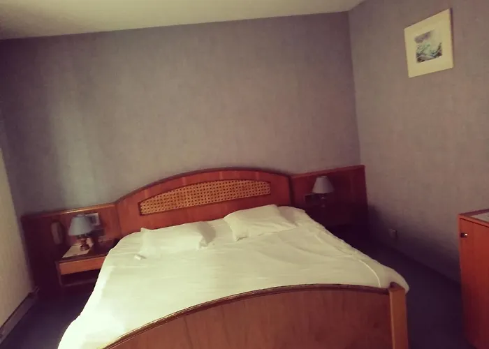 Logis Hotel Aux Comtes De Hanau